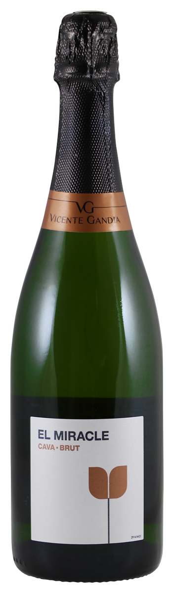 Vincente Gandia | El Miracle