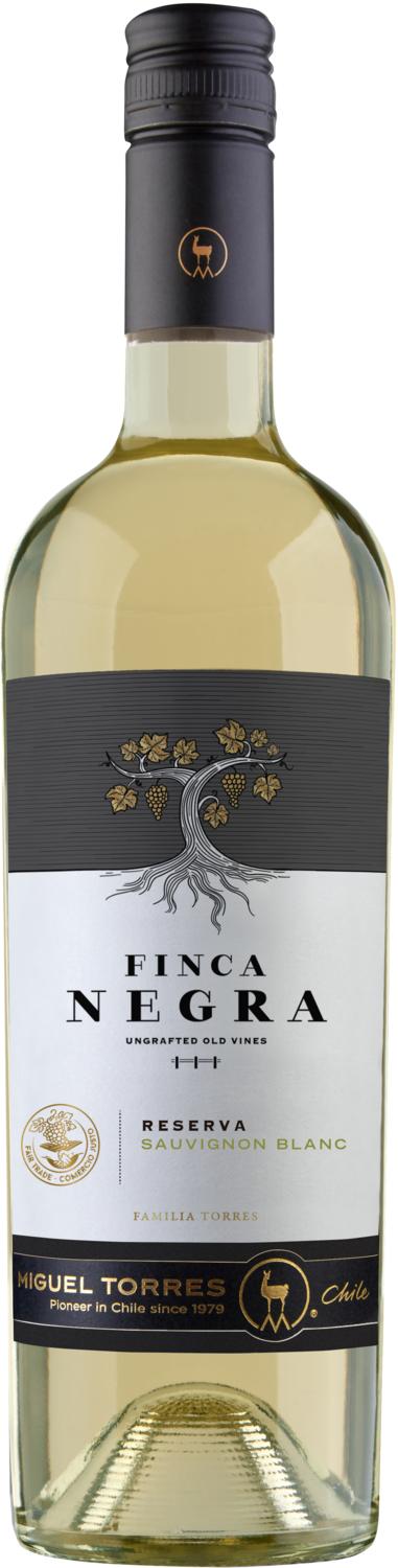 Torres Finca Negra | Sauvignon Blanc