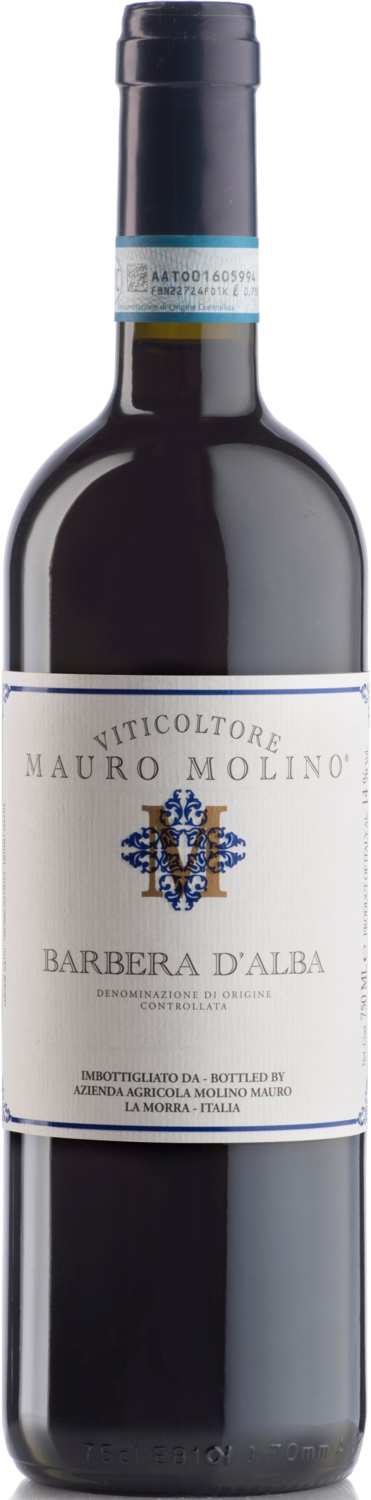 Mauro Molino | Barbera d'Alba